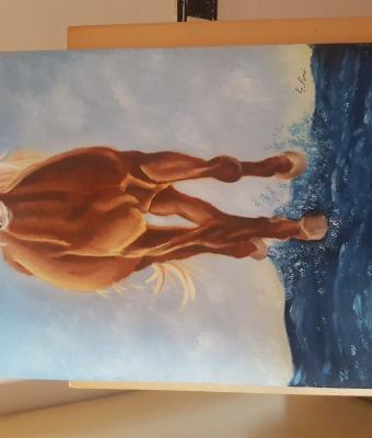 cavallo-che-corre-sull-acqua