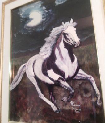 cavallo-bianco