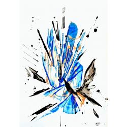 n70-nature
