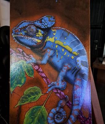 geko