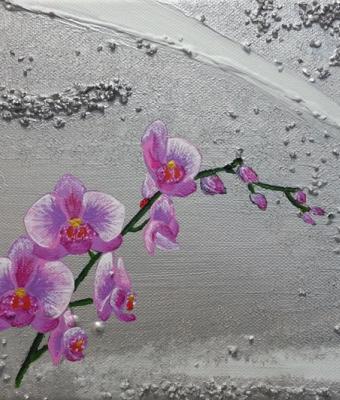 orchidee