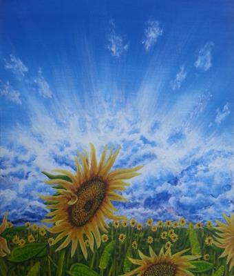 girasoli