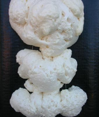 fat-flower