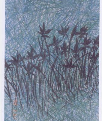 giardino-d-ombra-1997