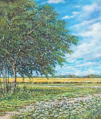 campo-pieno-di-sole