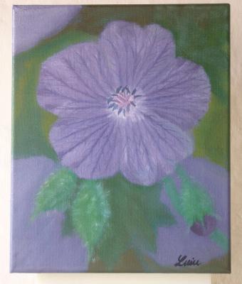 geranium-1