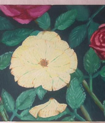 rose-1