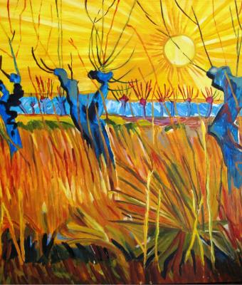 salici-potati-al-tramonto