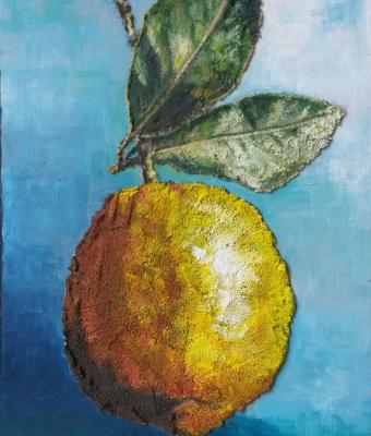 frutto-mediterraneo