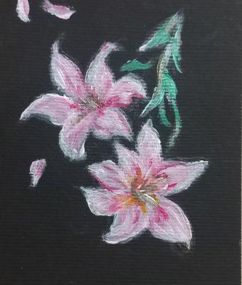 iris-rosa