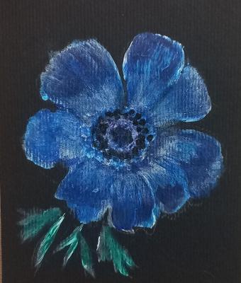 anemone-blu