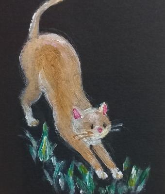 il-salto
