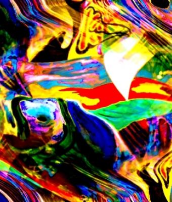 shapeliness