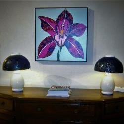 orchidea-alla-galleria-govetosa-di-padova