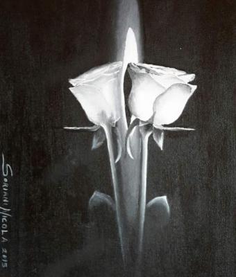 riflessi
