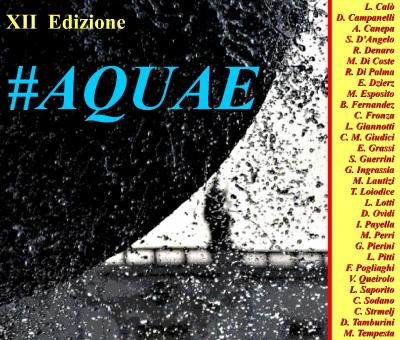 roma-in-100-centimetriquadri-26-aquae