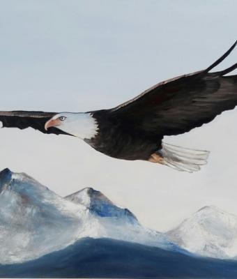 volare-alto