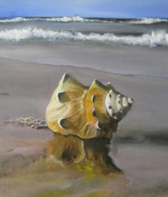 conchiglia-sul-mare
