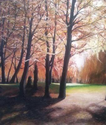i-colori-del-bosco