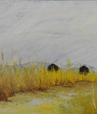 estate-in-campagna