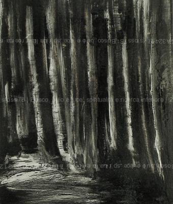 bosco-buio-e-luce-spirituali