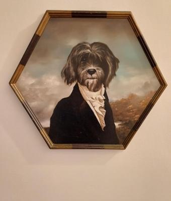 eleganza