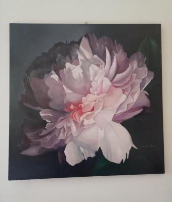 fiore-rosa