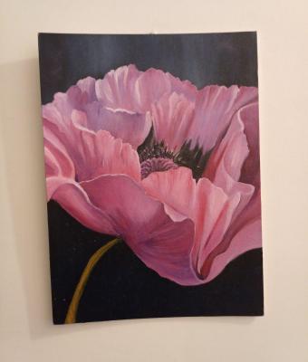 fiore-rosa-2