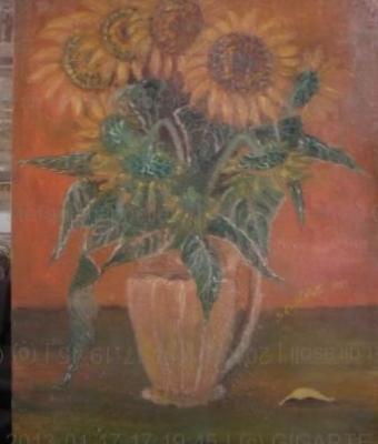 i-girasoli