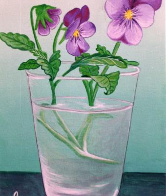 violette