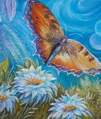 volando-di-fiore-in-fiore