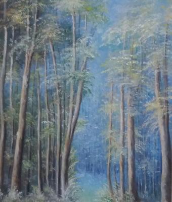 primavera-nel-bosco