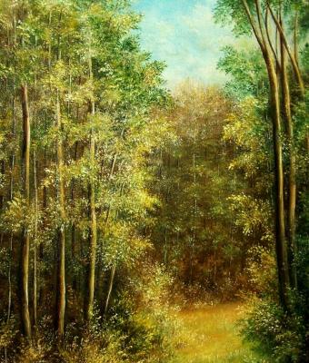 luci-nel-bosco