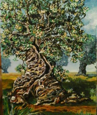 il-tempo
