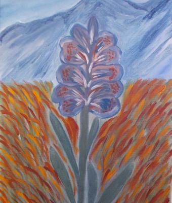 orchidea-selvaggia