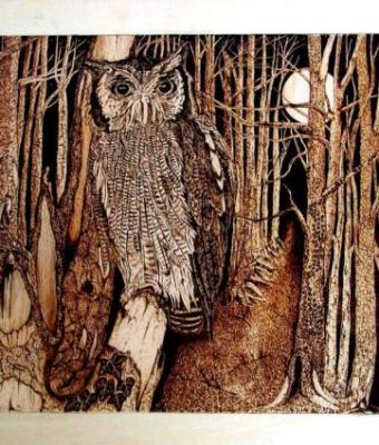 owl-and-moon