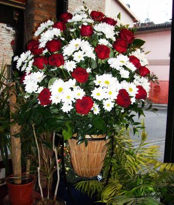 ga63990-senza-titolo
