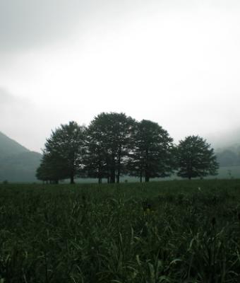 paesaggio