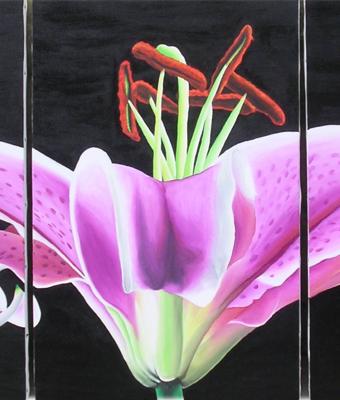 lily