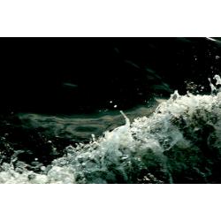 la-memoria-dell-acqua