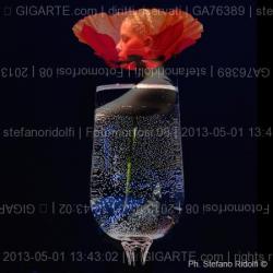 fotomorfosi-08
