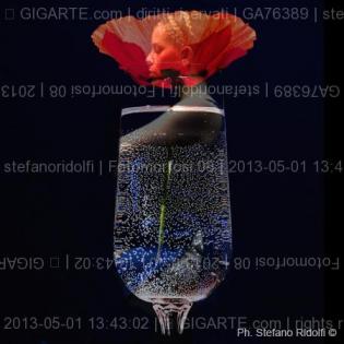 fotomorfosi-08
