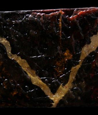 resine-fossili-iii