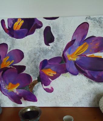 violette-sulla-neve