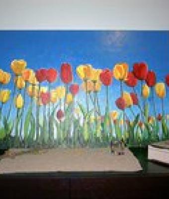 prato-di-tulipani