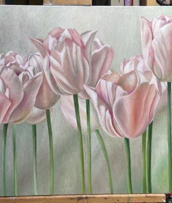 tulipani