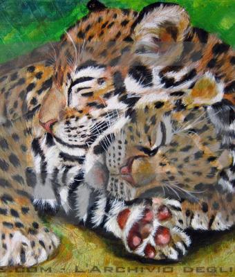 leopard-cubs