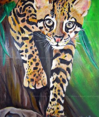 amur-leopard