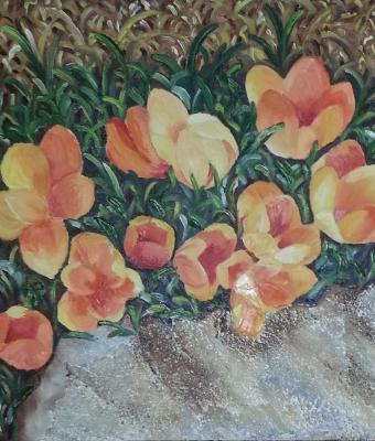 fiori-nella-roccia