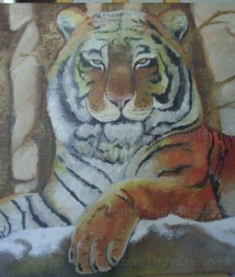 tiger
